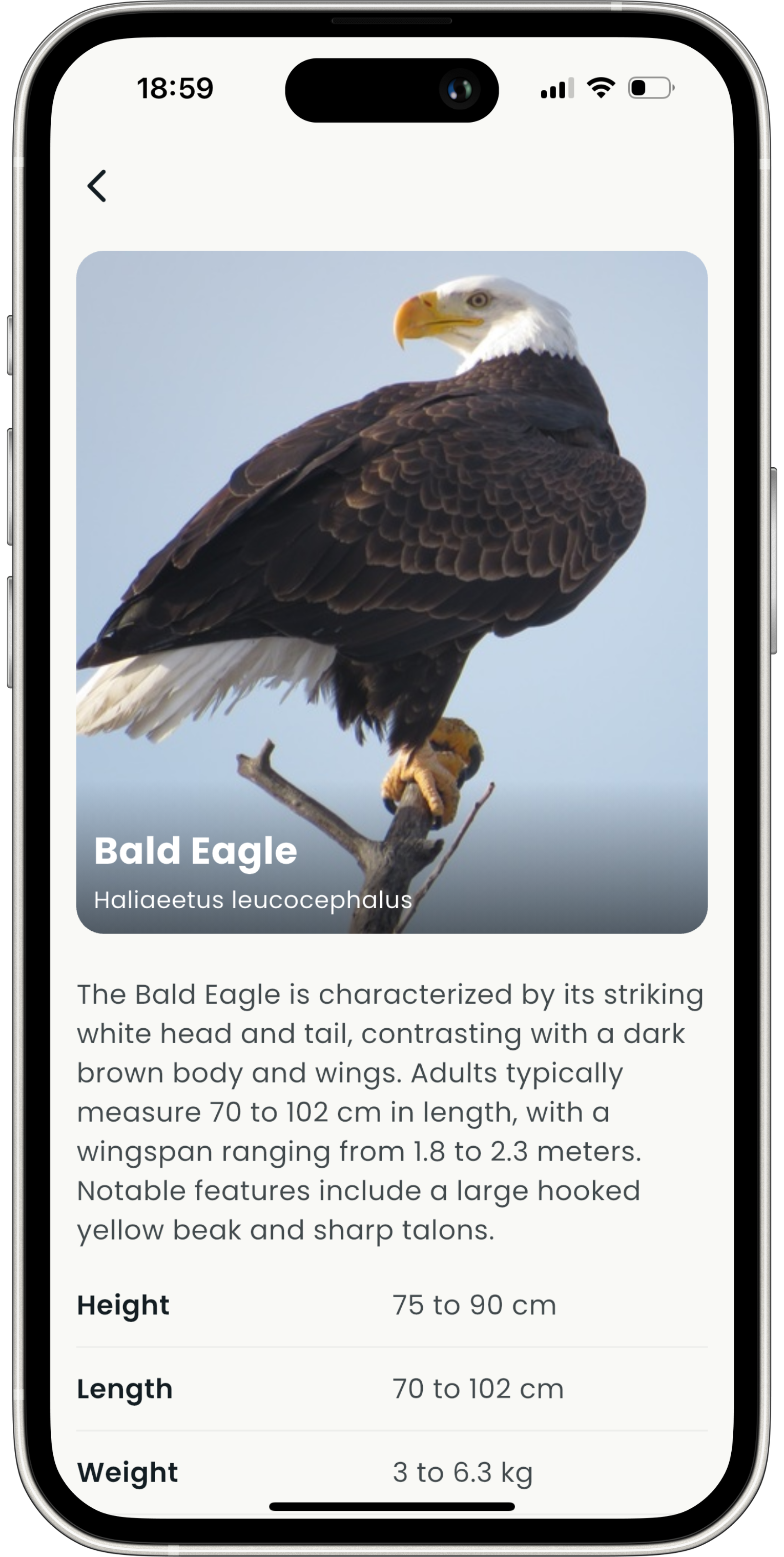 Manage Multiple TVs - TVGO TV remote feature